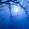 3lue.moon1
