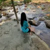 tnhi.0310