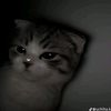 hnin.thet.wai920
