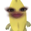 100107pp