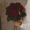 somaahmed273