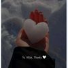aizelfatima708gmail.com