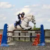 tilly_duke0
