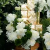 Triều Wedding_Mâm quả cưới LK