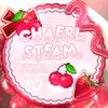 chaerlsteam0
