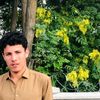 sangeen.musazai