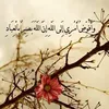 th.alkhafaji5