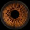 hawa_5247