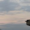 syifao18