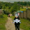 ai.rine17