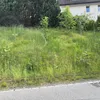 rosa.iannotta6