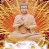 phnganh55luu