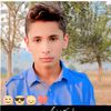 ali.raza131731