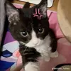 iuquocthongso1