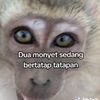 tokee12_