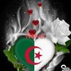 nawel.baghdadi
