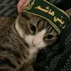 3j_iin