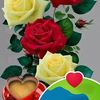user4666149842707