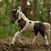 .domik_horse
