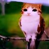 goofycatt10