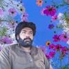 bakhtwar.khan55