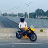 the_golden_bee_