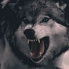 alexsey5256