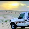 sahridoy981