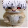hotabuh_pro52