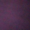 robin_0361