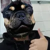 murilo.carvalho137