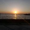 shadiamohamed81