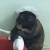 oreo.dipped.in.milk