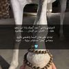 user8861256114031