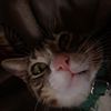 simon.zip24