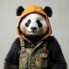 🐼