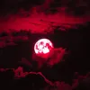 nightblood06