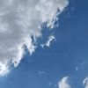 laren.sharha