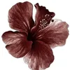 camile6330