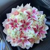 user62354___