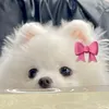 nem_u_uq