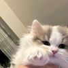 pinkyypiee_16