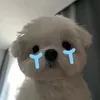 namlodc_