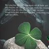 huyen.hqt