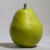 sanechekklytoi