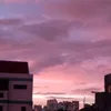 drogon839