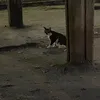 itsuhmehmareeoh