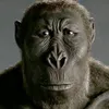 putsakakastahi