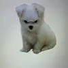 karintooo6363