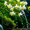 lien.nguyen5024
